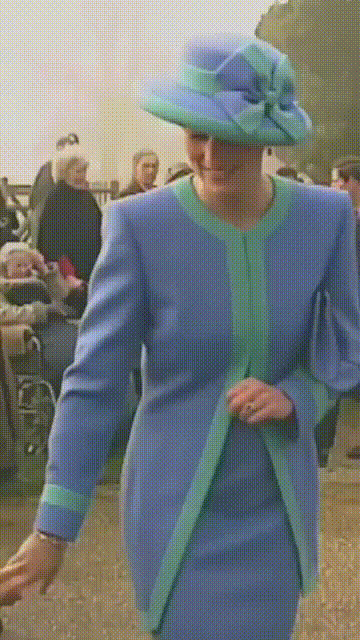 Princess Diana GIF
